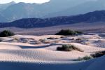 Sand Dunes, texture, sandy, NPSV02P13_07