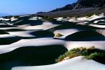 Sand Dunes, texture, sandy, NPSV02P13_13