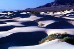 Sand Dunes, texture, sandy, NPSV02P13_13B
