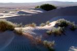 Sand Dunes, texture, sandy, NPSV02P14_16