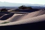 Sand Dunes, texture, sandy, NPSV02P15_10