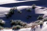Sand Dunes, texture, sandy, bush, NPSV03P01_17