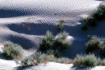 Sand Dunes, texture, sandy, bush, NPSV03P01_19