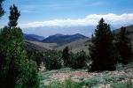eastern Sierra-Nevada Mountains, Owens Valley, NPSV03P05_11