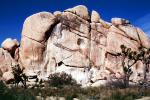 Rock Face, boulders, cliff, Joshua Tree, NPSV03P08_04