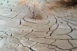 Dirt, soil, dried mud, cracked earth, Craquelure, Mud Cracked Riverbed