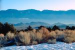 Creosote Bush, shrub, Mountain Range, snow, Owens Valley, NPSV04P06_04.2473