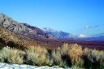 Creosote Bush, shrub, Mountain Range, snow, Owens Valley, NPSV04P06_05