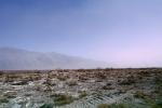 Dust Storm, Owens Valley