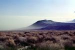 Dust Storm, Creosote Bush, shrub, Mountain Range, snow, Owens Valley