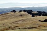 Priest Valley, Monterey County, hills, scrub, prairie, woodlands, near Coalinga, NPSV04P15_12
