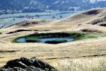 ring pond, Priest Valley, Monterey County, hills, scrub, prairie, woodlands, near Coalinga, NPSV04P15_13