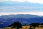 Priest Valley, Monterey County, hills, scrub, prairie, woodlands, near Coalinga, NPSV04P15_15