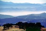Priest Valley, hills, scrub, prairie, woodlands, near Coalinga, Monterey County, NPSV04P15_16