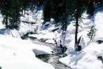 Stream in the Snow, Winter, Water, NPSV05P08_10