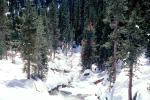 Stream in the Snow, Winter, Water, NPSV05P08_11