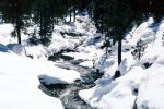 Stream in the Snow, Winter, Water, NPSV05P08_13