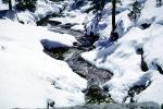 Stream in the Snow, Winter, Water, NPSV05P13_16