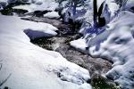 Stream in the Snow, Winter, Water, NPSV05P13_17