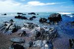 Cambria, Shore, Coast, Pacific Ocean, Tide Pool, Tidepools, salty tide pools, NPSV06P02_17