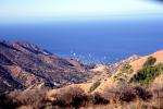 Catalina Island, Harbor, Hills, NPSV06P07_12
