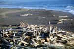 Driftwood, Beach, Cambria, Pacific Ocean, NPSV06P09_15