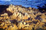Rocks, Cambria, Shoreline, Paintography, NPSV06P09_19B