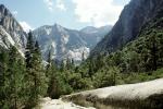 Kings Canyon National Park, Mountains, Foorest, Peaks
