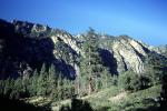 Kings Canyon National Park, Trees, Mountain, Forest, NPSV06P15_12