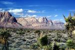 Mountain Range, Cactus, Barren Landscape, Empty, Bare Hills, NPSV07P02_18