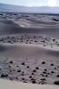 Sand Dunes, NPSV07P04_03