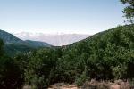 eastern Sierra-Nevada Mountains, Owens Valley, NPSV07P09_05