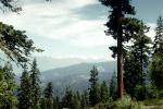 Kings Canyon National Park, Sierra-Nevada Mountains, May 1960, 1960s