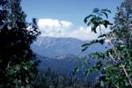 Sierra-Nevada Mountains, NPSV07P13_03