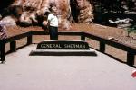 General Sherman Tree, Sign, Signage, NPSV07P13_07