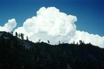 Cumulus Cloud, NPSV07P14_01