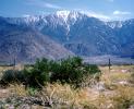 San Jacinto Peak, north escarpment, NPSV08P02_09