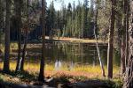 Small Lake west of Tenaya, Reflections, Water, Trees, NPYD01_041