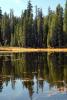 Small Lake west of Tenaya, Reflections, Water, Trees
