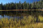 Small Lake west of Tenaya, Reflections, Water, Trees, NPYD01_059