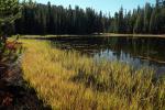 Small Lake west of Tenaya, Reflections, Water, Trees, NPYD01_060