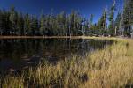 Small Lake west of Tenaya, Reflections, Water, Trees, NPYD01_063