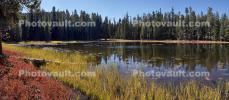 Small Lake west of Tenaya, Reflections, Water, Trees, NPYD01_065