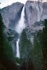 Yosemite Falls, Waterfall, forest, trees, NPYV01P01_08