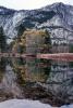 Merced River, reflections, water, NPYV01P05_15