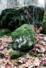boulders, leaves, moss, NPYV01P06_02