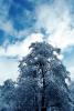 Ice, Snow, Clouds, Winter, NPYV01P08_01