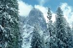 Cathedral Rock, Snowy Trees, Valley, Forest, Winter, NPYV01P08_12