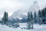 Cathedral Rock, Snowy Trees, Valley, Forest, Winter, NPYV01P08_16