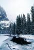 Merced River, Snowy Trees, Valley, Forest, Winter, NPYV01P09_11